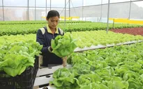 VN economy needs new drivers for growth