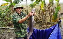 Người đàn ông "cởi" án tử, làm lại cuộc đời