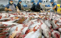 Việt Nam yêu cầu Mỹ xem xét lại cách xác định thuế với cá tra, basa