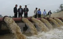 Từ 0h ngày 16/1 sẽ lấy nước đổ ải đợt 1 vụ Đông Xuân