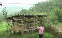 Lào Cai chủ động đối phó với rét đậm, rét hại