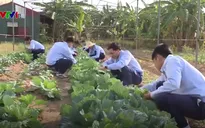 Hỗ trợ lao động vùng khó khăn xuất cảnh Hàn Quốc - Nhật Bản