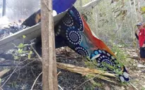 Tai nạn máy bay ở Costa Rica, 12 người thiệt mạng