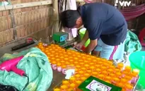Bắt quả tang cơ sở sản xuất mỹ phẩm giả ở Vĩnh Long