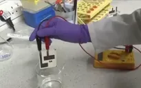 Nghiên cứu thành công giấy kiểm tra chất lượng nước