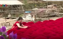 Làng nhang gần 100 tuổi ở TP.HCM vào vụ Tết