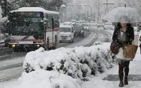 Tuyết rơi dày đặc ảnh hưởng tới người dân Tokyo, Nhật Bản