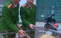 Bắt giữ xe vận chuyển trên 500kg nội tạng động vật bốc mùi hôi thối