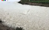 Nước sông nổi bọt trắng không phải do nhà máy thải ra