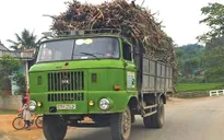 Khó khăn xử lý xe ô tô hết niên hạn sử dụng