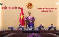 Cứ 100 doanh nghiệp thì có tới 98 doanh nghiệp trốn thuế