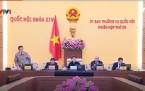 Uỷ ban Thường vụ Quốc hội cho ý kiến về thời hạn cho thuê đất tại đơn vị hành chính kinh tế đặc biệt
