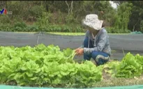 Quảng Nam triển khai chuỗi thực phẩm an toàn