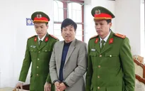 Khởi tố bị can, bắt tạm giam đối tượng hủy hoại rừng Hương Khê, Hà Tĩnh