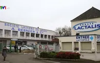 Sữa nhiễm khuẩn của hãng Lactalis ảnh hưởng tới 83 quốc gia