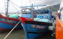 Cứu 11 thuyền viên tàu cá Đà Nẵng gặp nạn trên biển