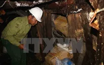 Lâm Đồng: Triệt phá hầm khai thác thiếc trái phép dài hàng trăm mét