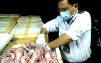 Sản xuất, buôn bán thực phẩm bẩn có thể bị phạt tù tới 20 năm