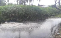 Hàng trăm người dân ở TP Rạch Giá sống chung ô nhiễm