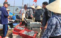EU sắp rà soát nỗ lực thoát thẻ vàng của Việt Nam