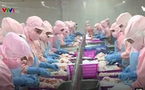 Giải pháp phát triển nguồn nhân lực ĐBSCL