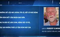 Tranh cãi về việc gây mê tôm hùm trước khi chế biến