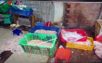 Phát hiện nhiều vụ kinh doanh thực phẩm bẩn tại TP.HCM