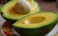 Những điều có thể bạn chưa biết về trái bơ
