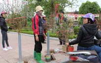 Thời tiết miền Trung thuận lợi, tạnh ráo trong ngày đầu năm mới 2018