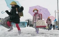 Tokyo (Nhật Bản) đón đợt tuyết rơi dày trong ngày 23 - 24/1