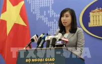 Việt Nam hoan nghênh các biện pháp duy trì hòa bình, ổn định trên bán đảo Triều Tiên