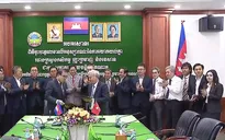 Hiệp hội Điều Việt Nam hỗ trợ Campuchia tăng sản lượng