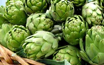 Công dụng hữu ích của cây atiso