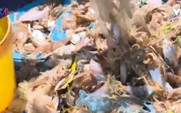 Ngăn rác thải nhựa đổ ra biển