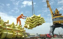 Tăng trưởng kinh tế Việt Nam năm 2019 có thể đạt 6,9%