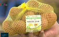 Triển khai gắn nhãn cho khoai tây Đà Lạt