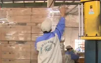 Những thách thức khi CPTPP chính thức có hiệu lực