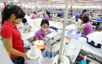 Hiệp định CPTPP chính thức có hiệu lực với Việt Nam