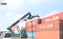 Doanh nghiệp kỳ vọng lớn vào cơ hội hợp tác từ CPTPP