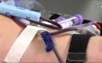 Cạn nguồn máu dự trữ tại Mỹ do chính phủ đóng cửa một phần