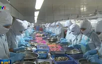 Việt Nam cần tận dụng mọi cơ hội từ các FTA