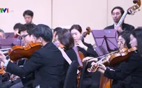 Đêm nhạc Hàn - Việt chào đón năm mới 2019