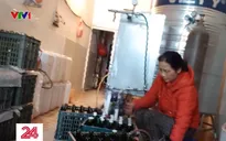 Rùng mình "công nghệ" sản xuất rượu vang Tết siêu tốc