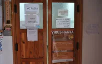 Bệnh Hanta có nguy cơ bùng phát trở lại ở Argentina