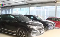 Thị trường ô tô cũ sôi động dịp giáp Tết