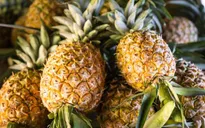 Về Hậu Giang thưởng thức đặc sản dứa Cầu Đúc