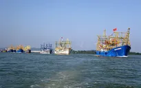 Ngư dân tăng cường phương tiện đánh bắt vươn khơi xa