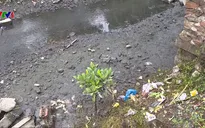 "Nghẹt thở" vì dòng kênh ô nhiễm