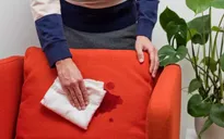 Các cách làm sạch ghế sofa chuẩn bị đón Tết
