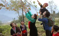 Sao mai Thu Hằng “thôi miên” người xem với MV "Nhà em ở lưng đồi"